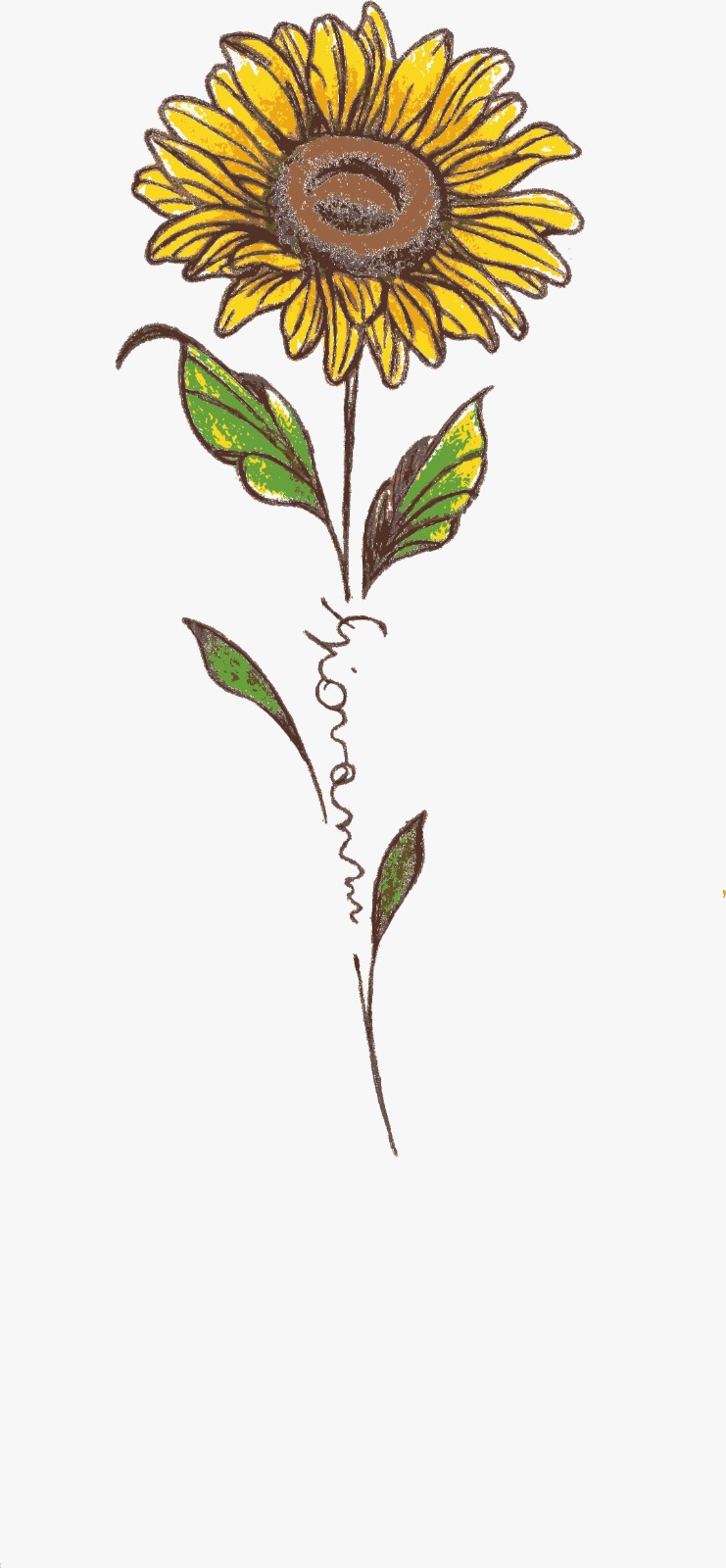 Logo Memorial Giovanni Colognese